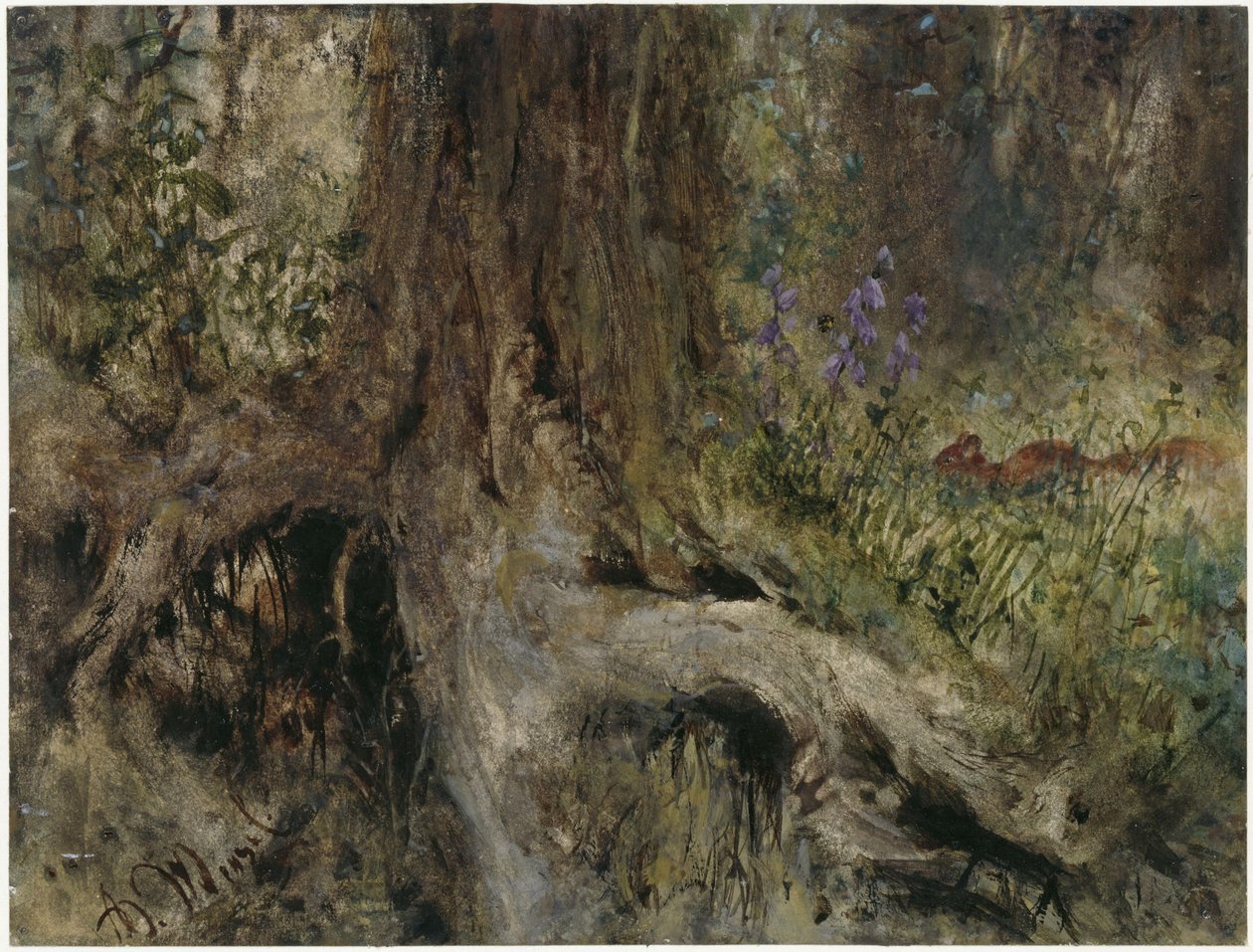 Un sol de forêt avec des écureuils. Extrait de « L