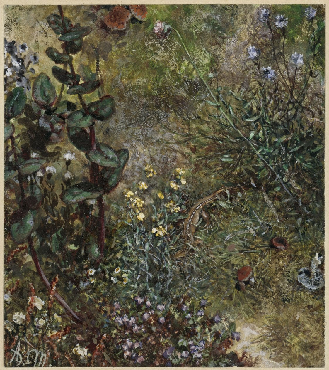 Le sol de la forêt avec le lézard. Extrait de « L