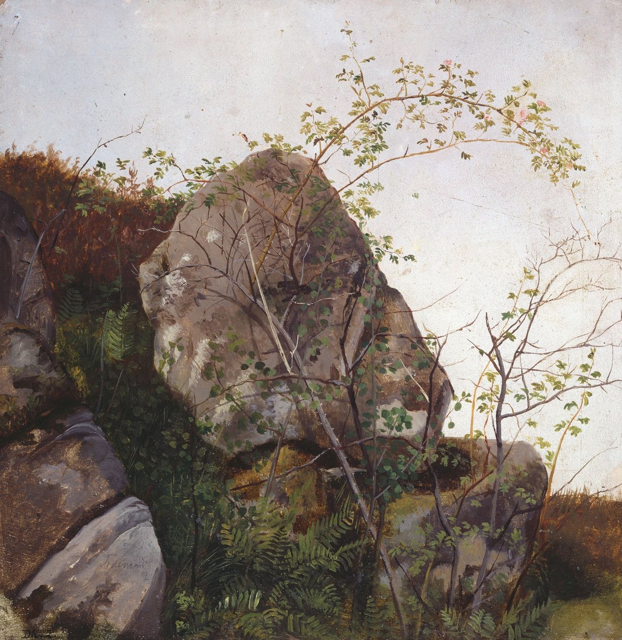 Églantiers en fleurs et fougères - Adolph Tidemand