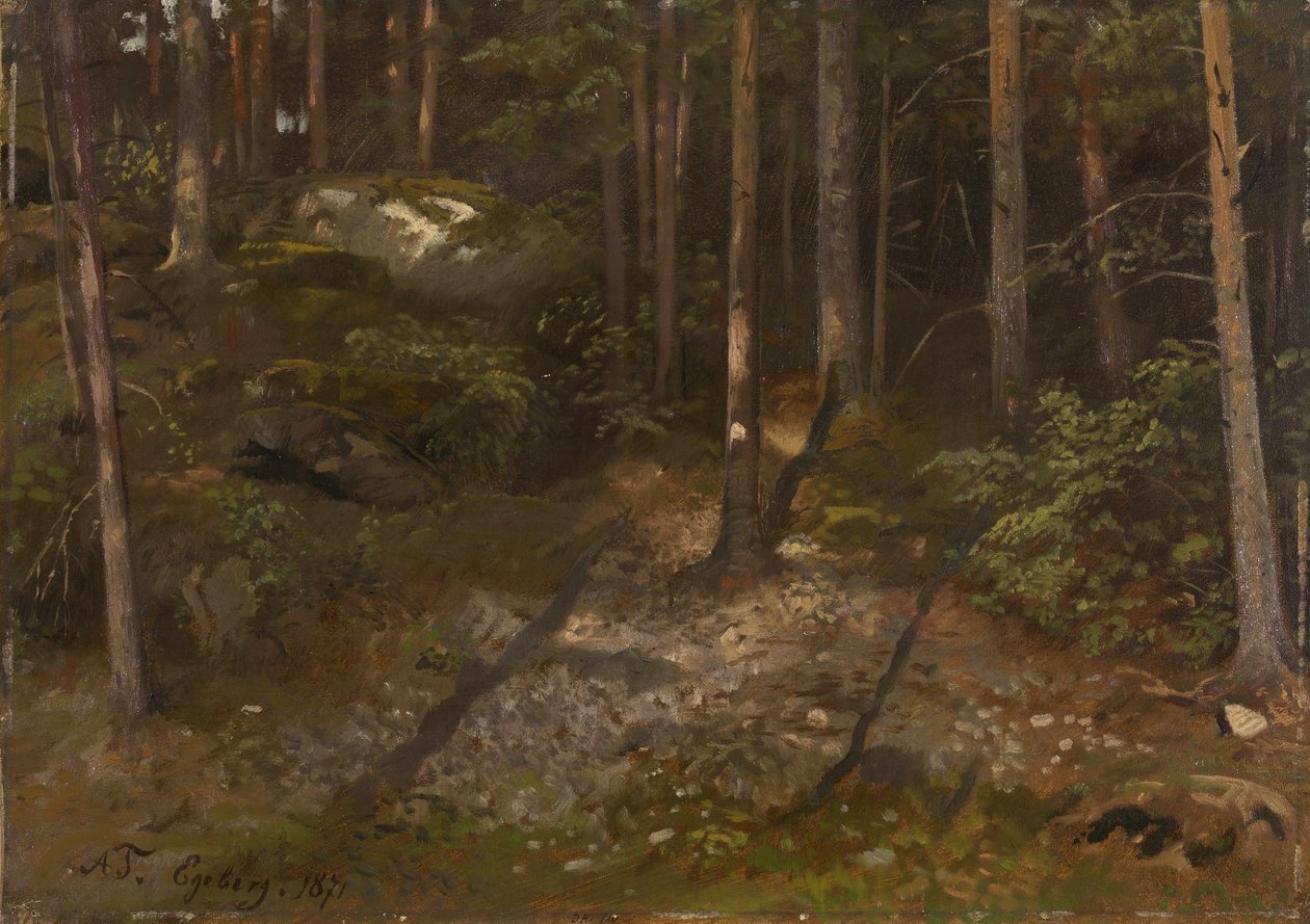 Étude de forêt - Adolph Tidemand