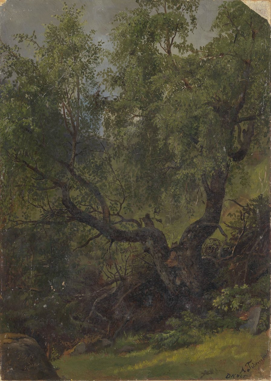 Étude de forêt de Numedal - Adolph Tidemand