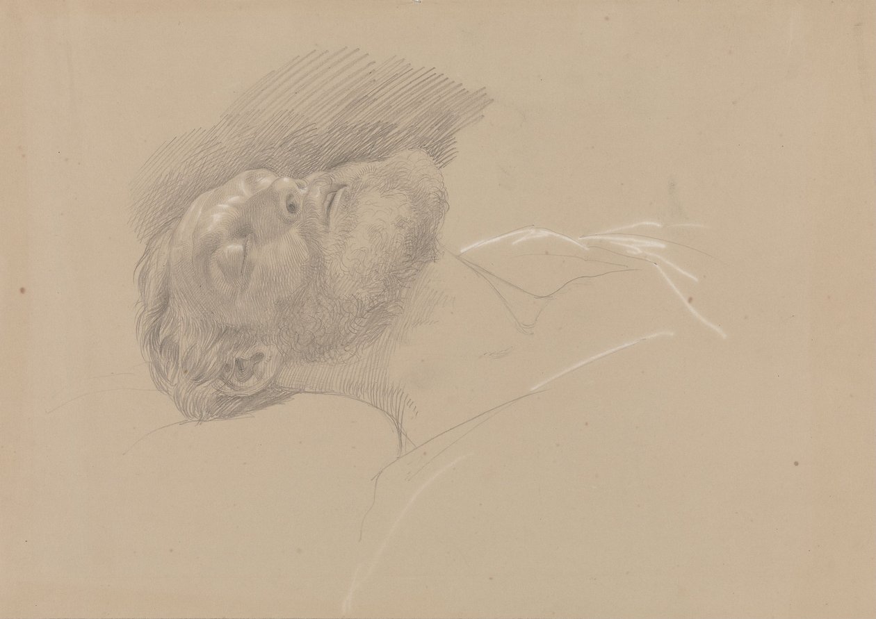 Håkon Jarl - Adolph Tidemand