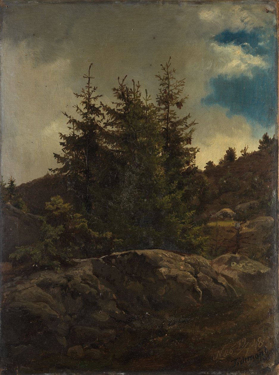 Paysage de Nes dans le Hallingdal - Adolph Tidemand