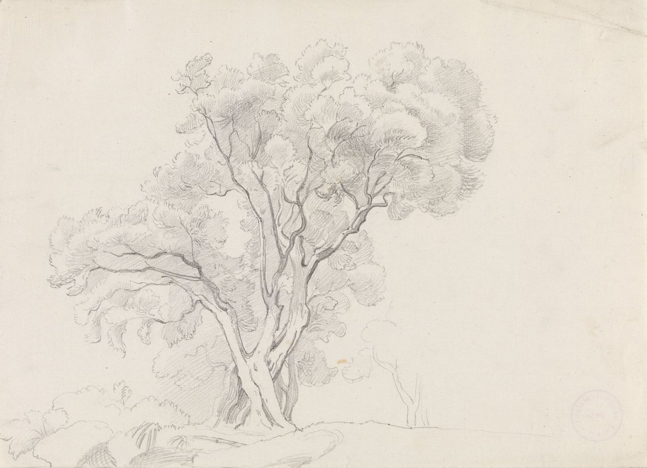 Arbres à feuilles caduques - Adolph Tidemand