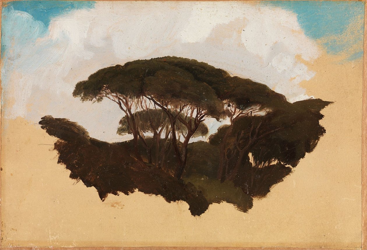 Étude sur les pins parasols - Adolph Tidemand