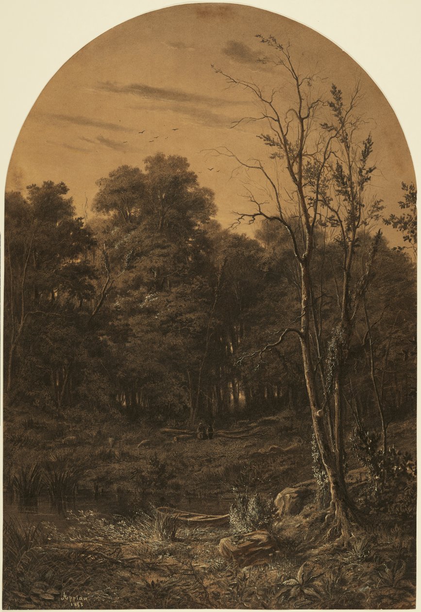 Paysage forestier près d
