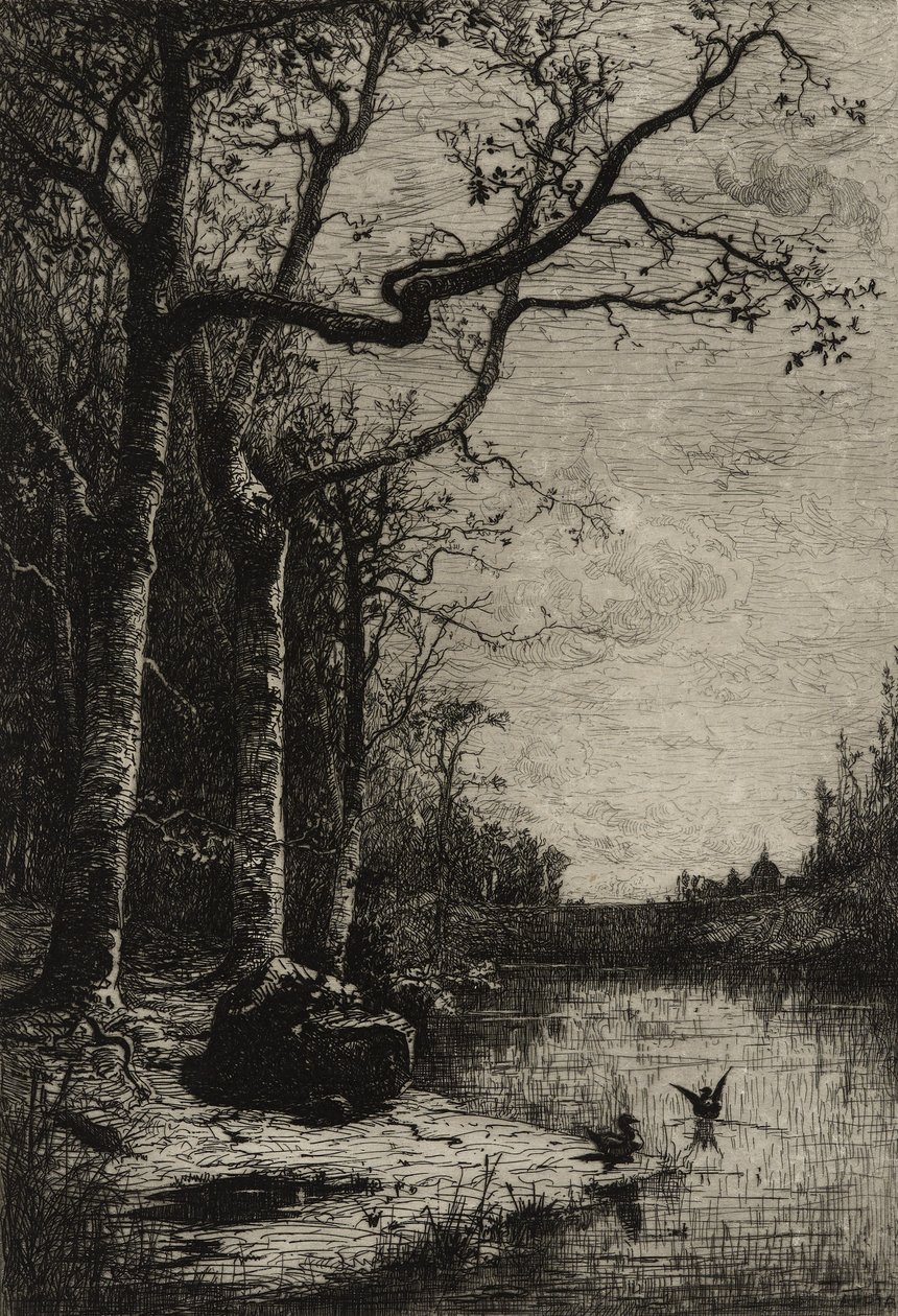 Le Marais de Burbanche (grande planche), vers 1870 - Adolphe Appian