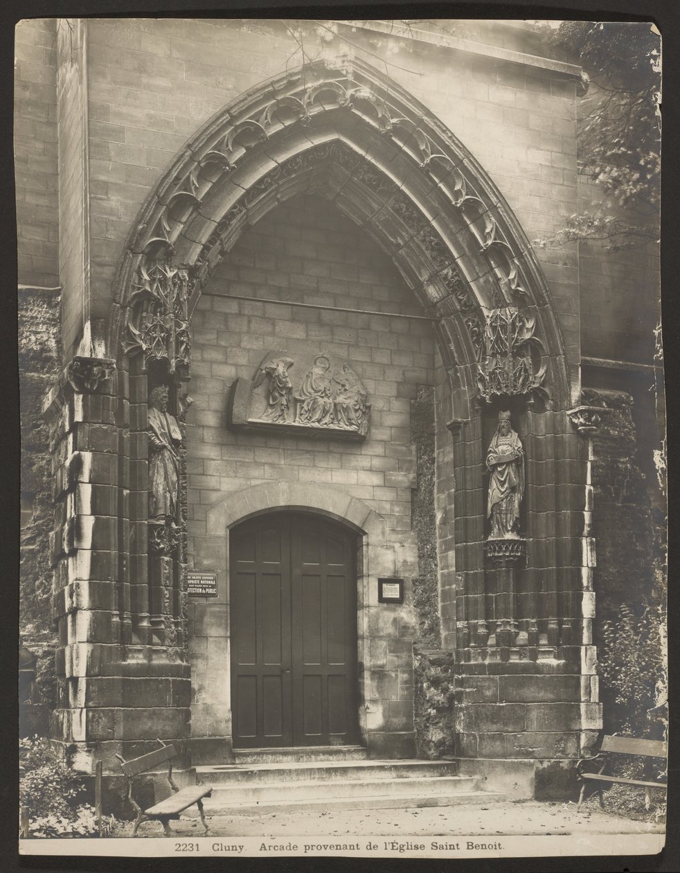 Cluney - Adolphe Braun