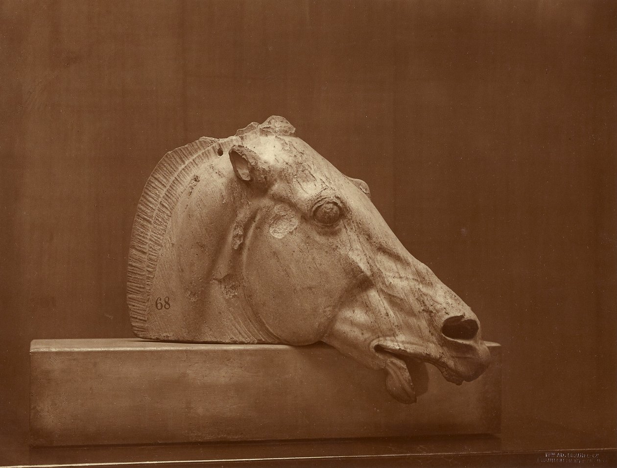[Tête de cheval provenant du fronton du Parthénon, British Museum] - Adolphe Braun