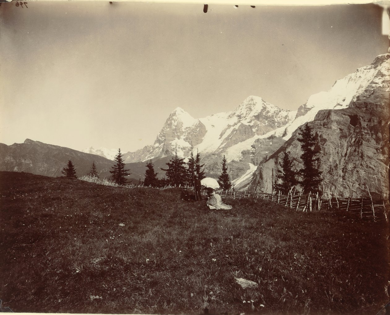 Paysage, Suisse, vers 1860 - Adolphe Braun