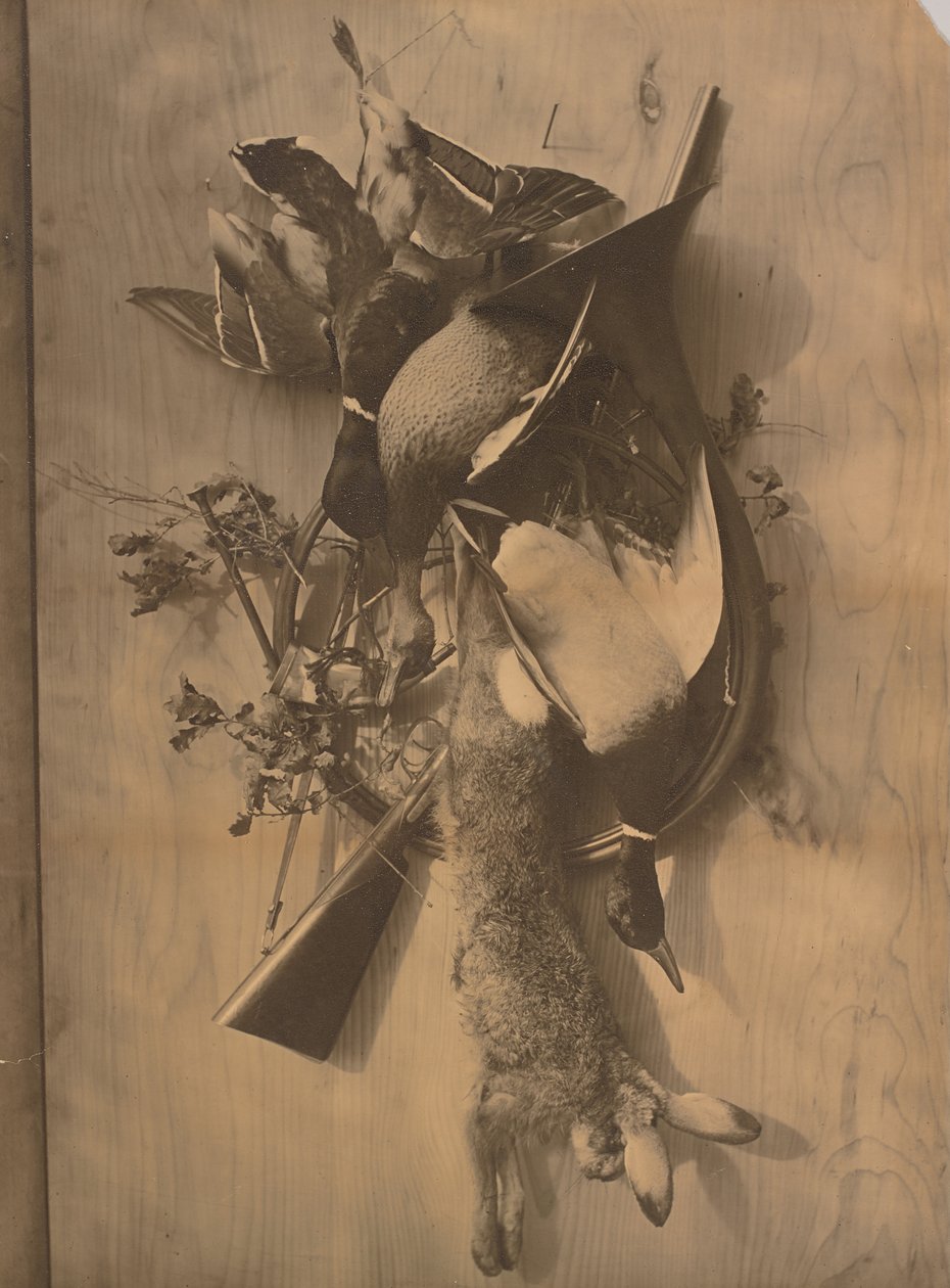[Nature morte : gibier mort] - Adolphe Braun