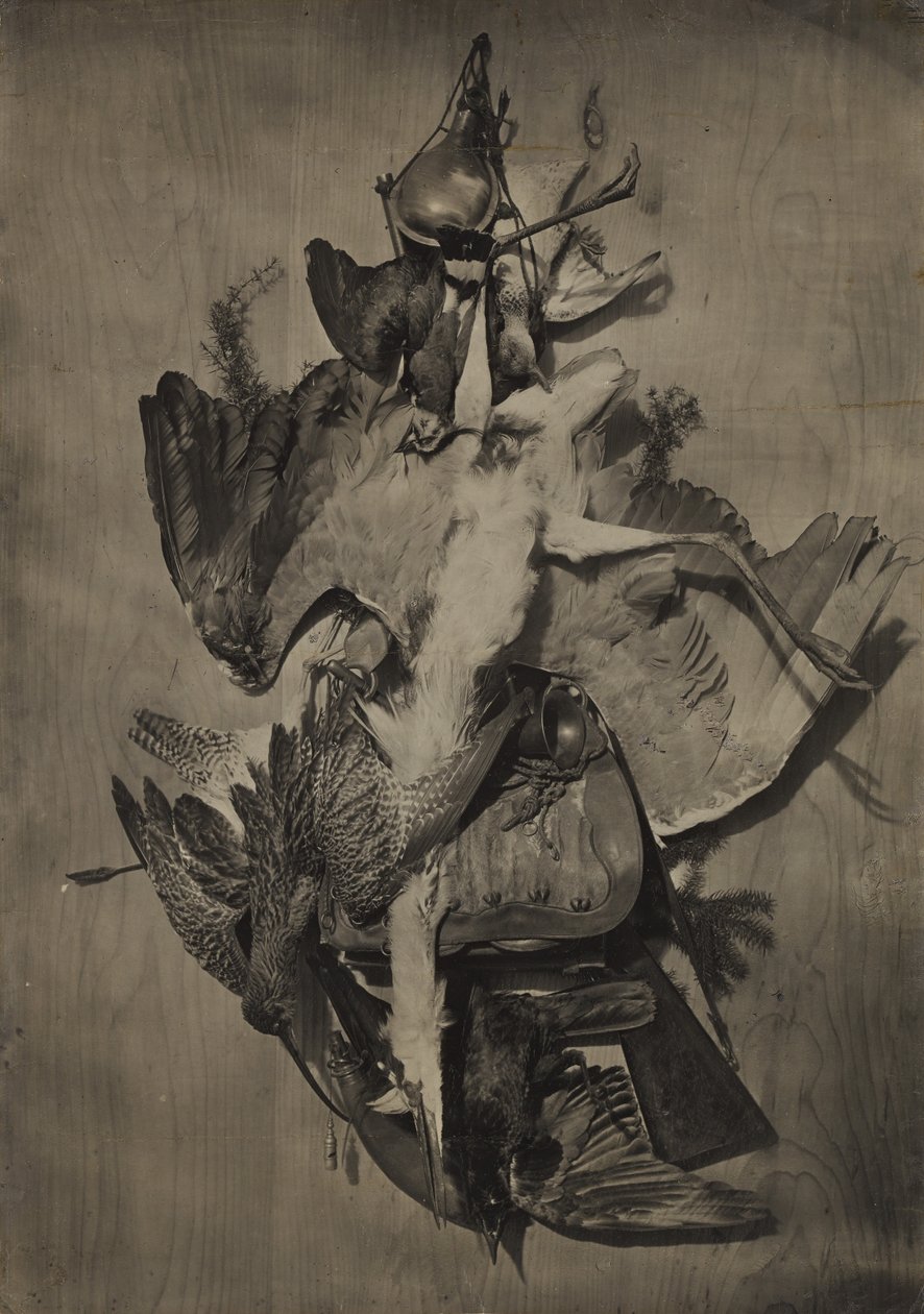 [Nature morte représentant du gibier] - Adolphe Braun