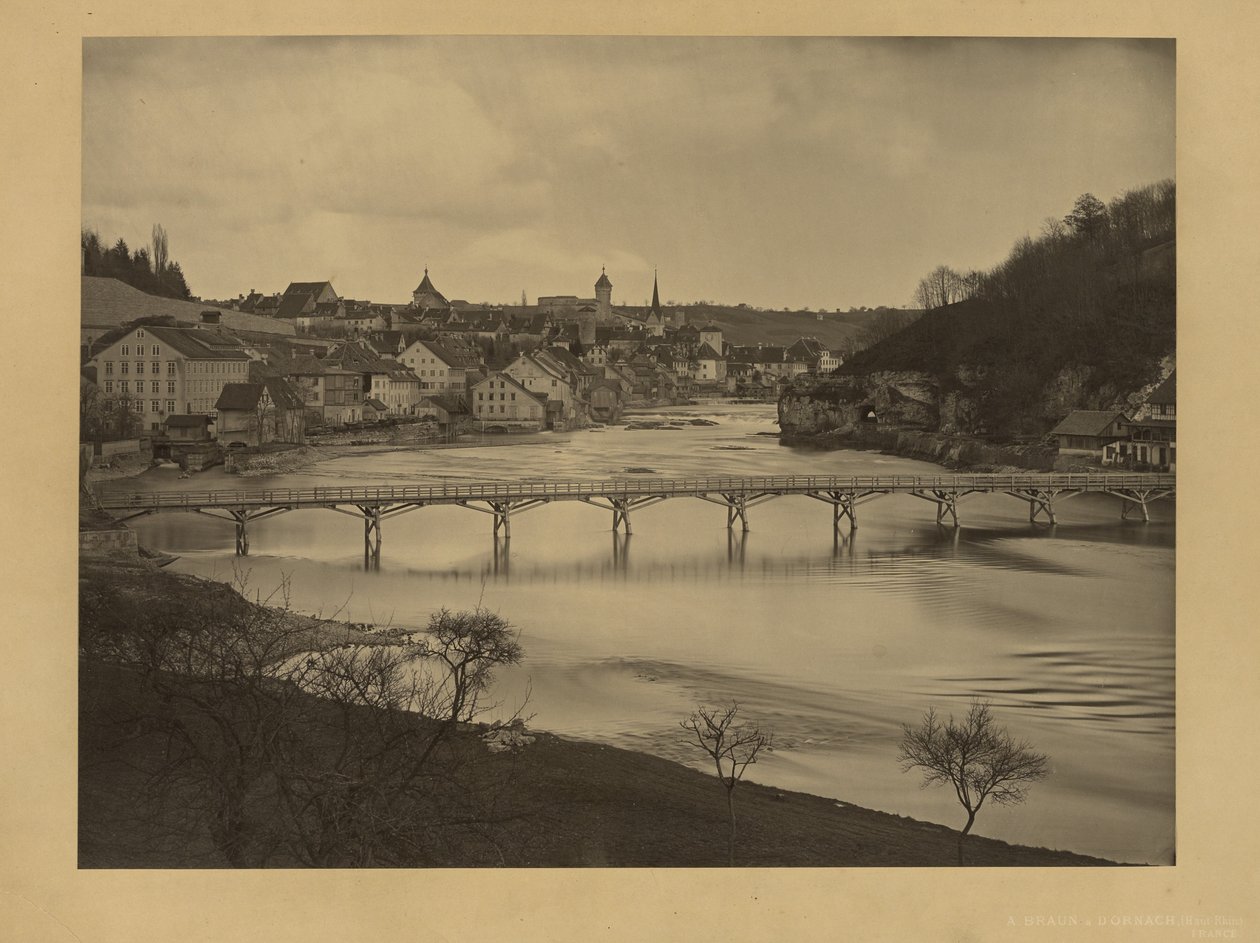 [Vue de Schaffhouse, en Suisse] - Adolphe Braun