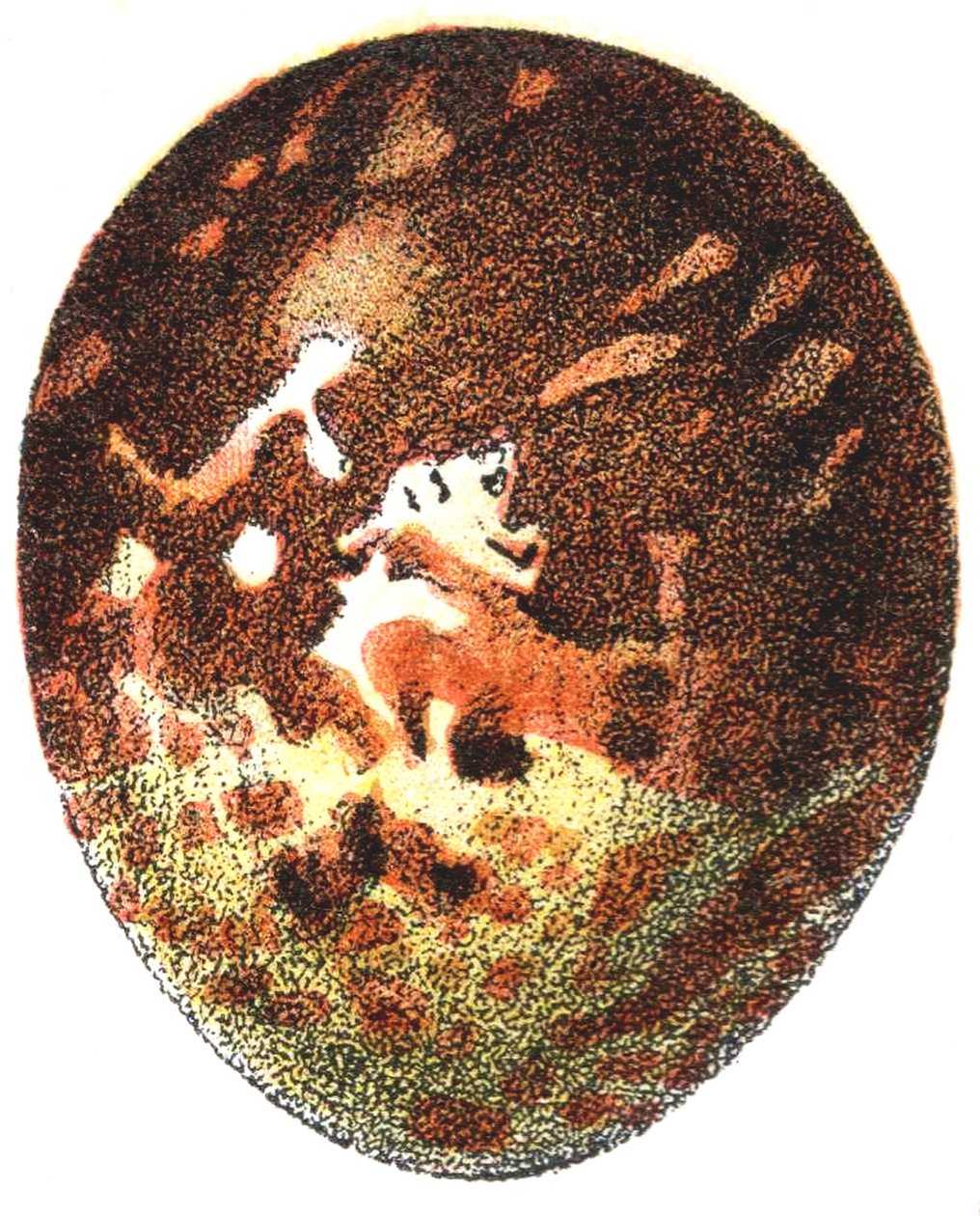 Œuf de bondrée apivore (Pernis apivorus), 1923 - Adolphe Philippe Millot