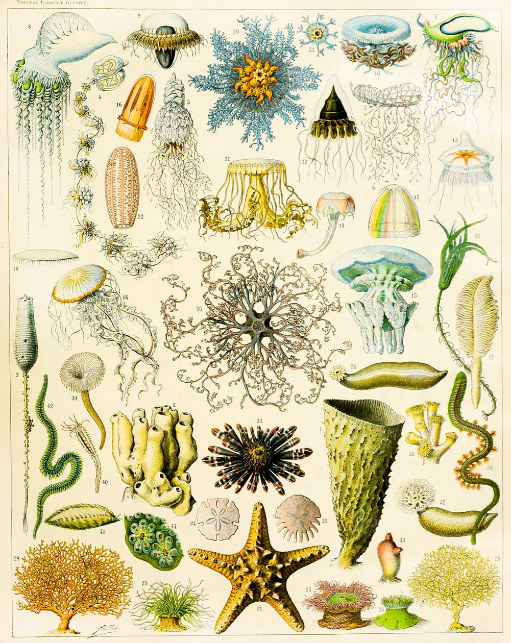 Illustration d