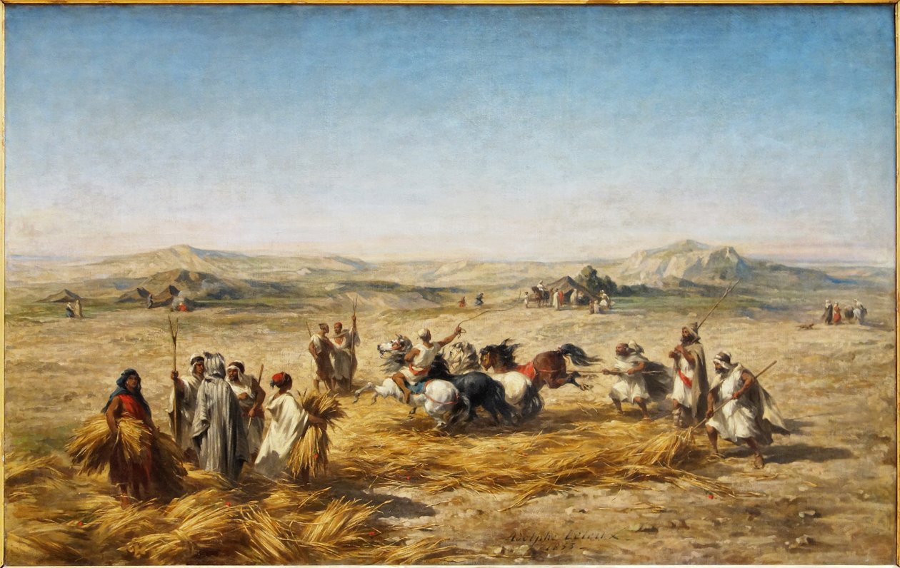 French: Dépiquage des blés en Algérie - Adolphe Pierre Leleux
