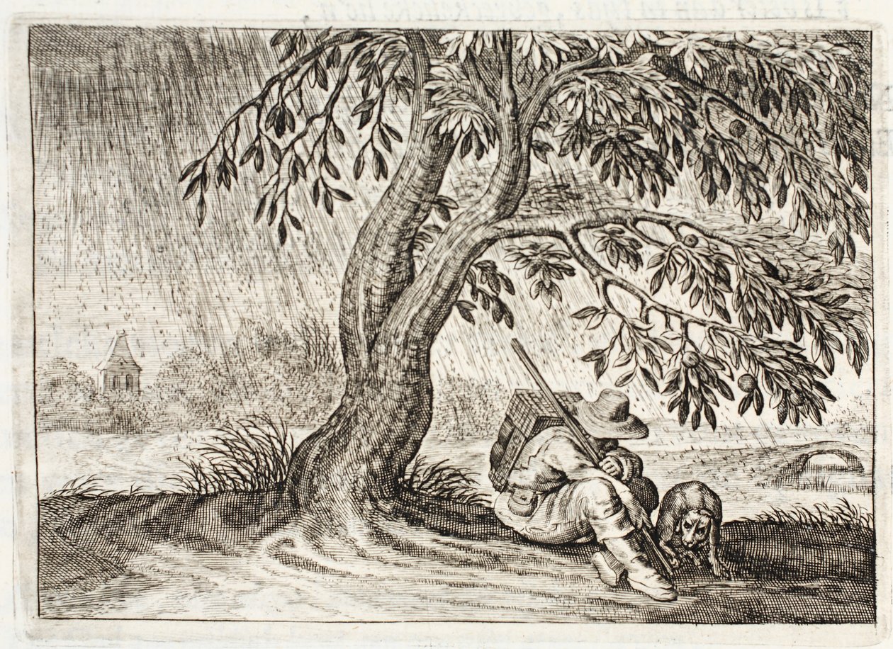 Abri, illustration de 