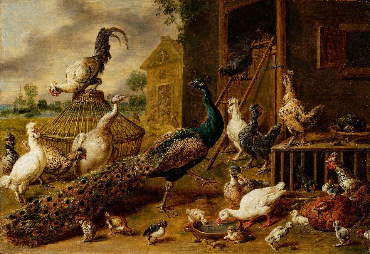 Ferme avicole, 1650 - Adriaen van Utrecht