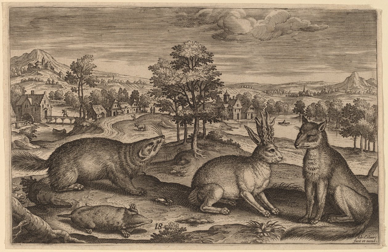 Une taupe, un blaireau, un lièvre cornu et un renard - Adriaen Collaert