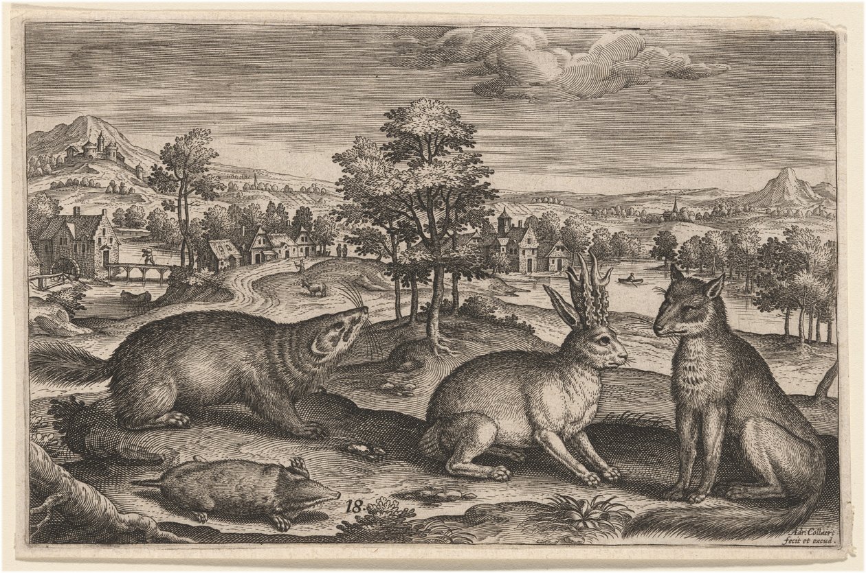 Une taupe, un blaireau, un lièvre cornu et un renard - Adriaen Collaert