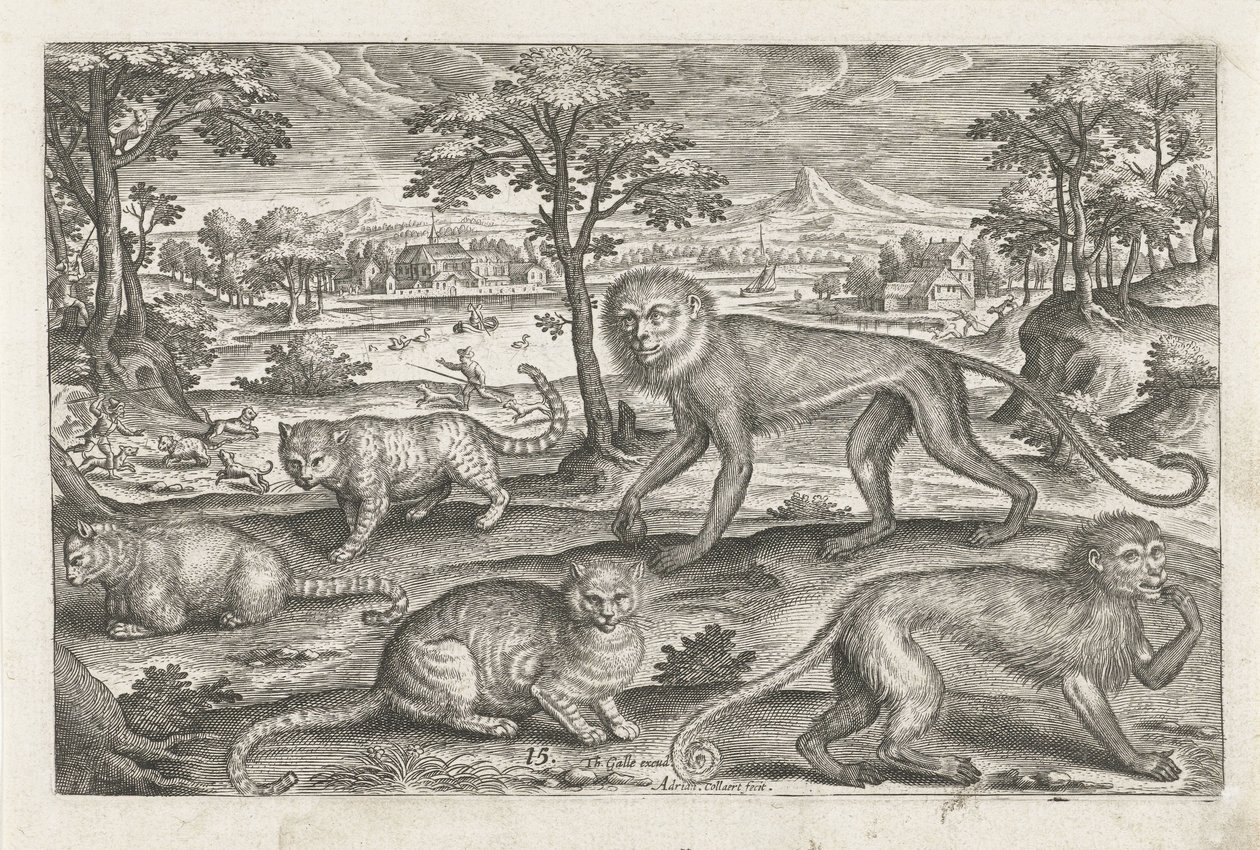 Singes et chats - Adriaen Collaert