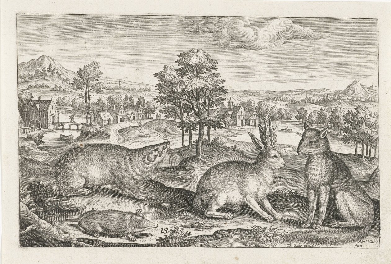 Animaux de la forêt - Adriaen Collaert