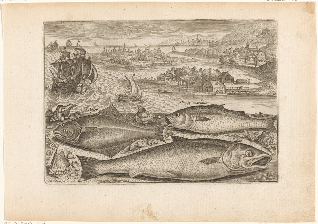 Trois poissons sur la plage - Adriaen Collaert