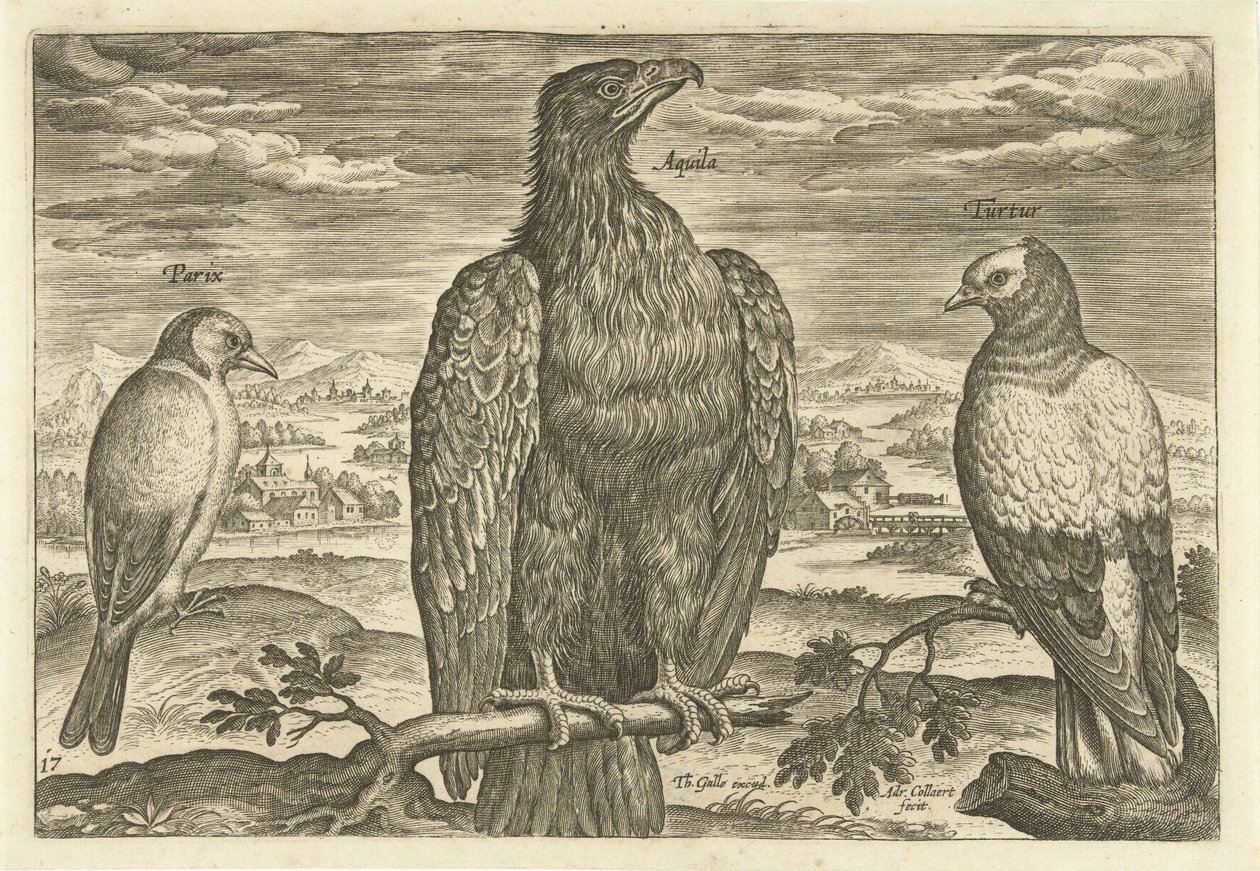 Trois oiseaux dans un paysage (Avivm Vivae, Vogels) - Adriaen Collaert