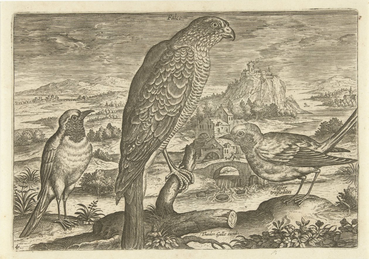 Quelques oiseaux dans un paysage - Adriaen Collaert