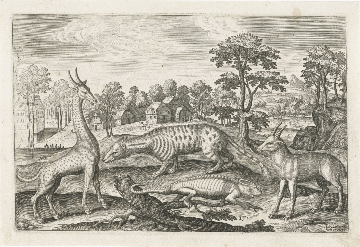 Animaux exotiques. Animalivm Qvaddrvpedvm - Adriaen Collaert