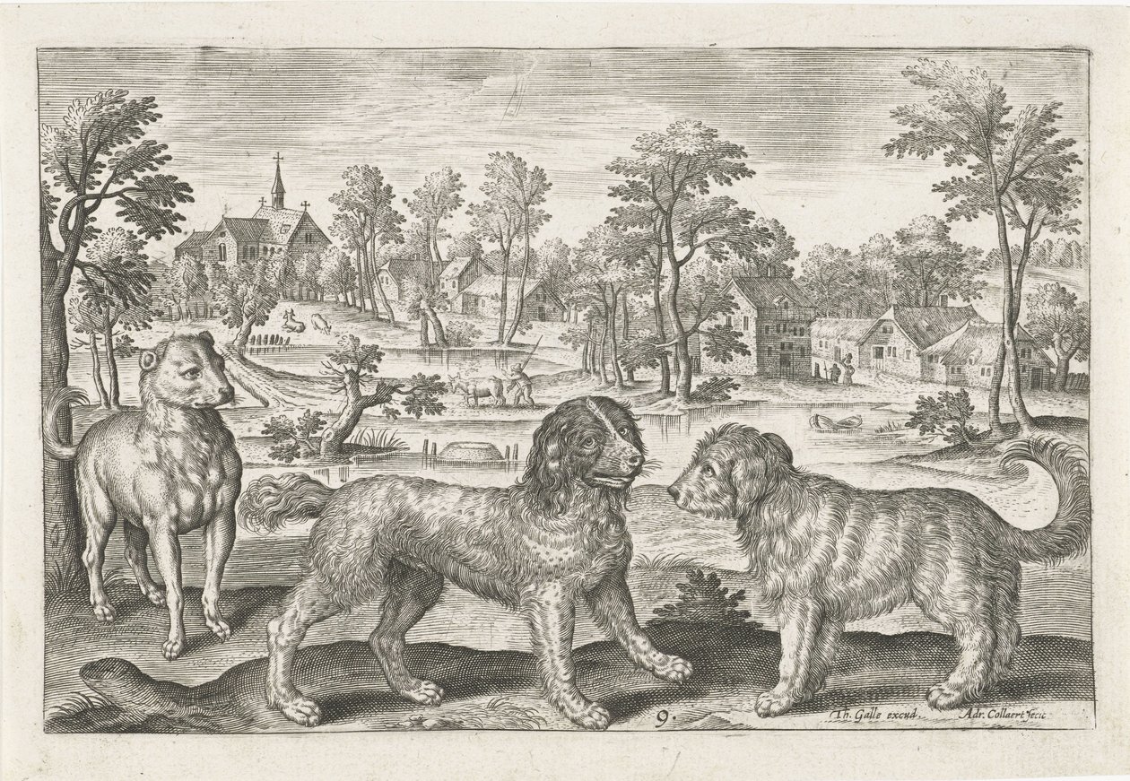 Chiens - Adriaen Collaert