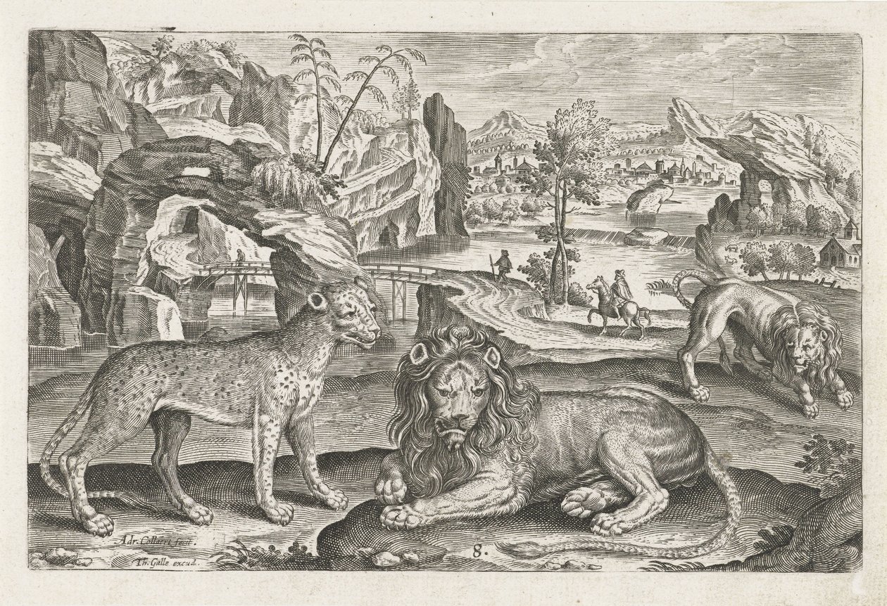 Lions et léopard - Adriaen Collaert