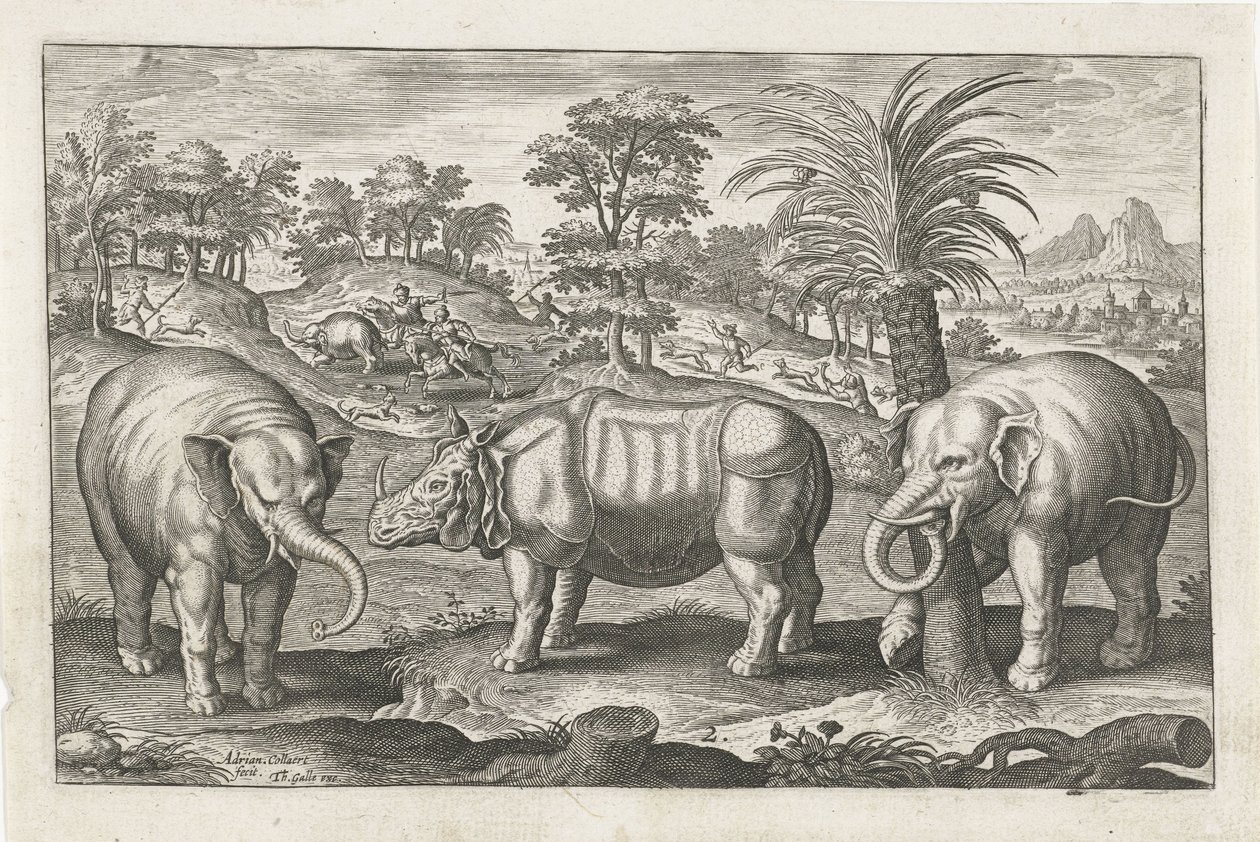 Éléphants et rhinocéros (Animalivm Qvaddrvpedvm) - Adriaen Collaert