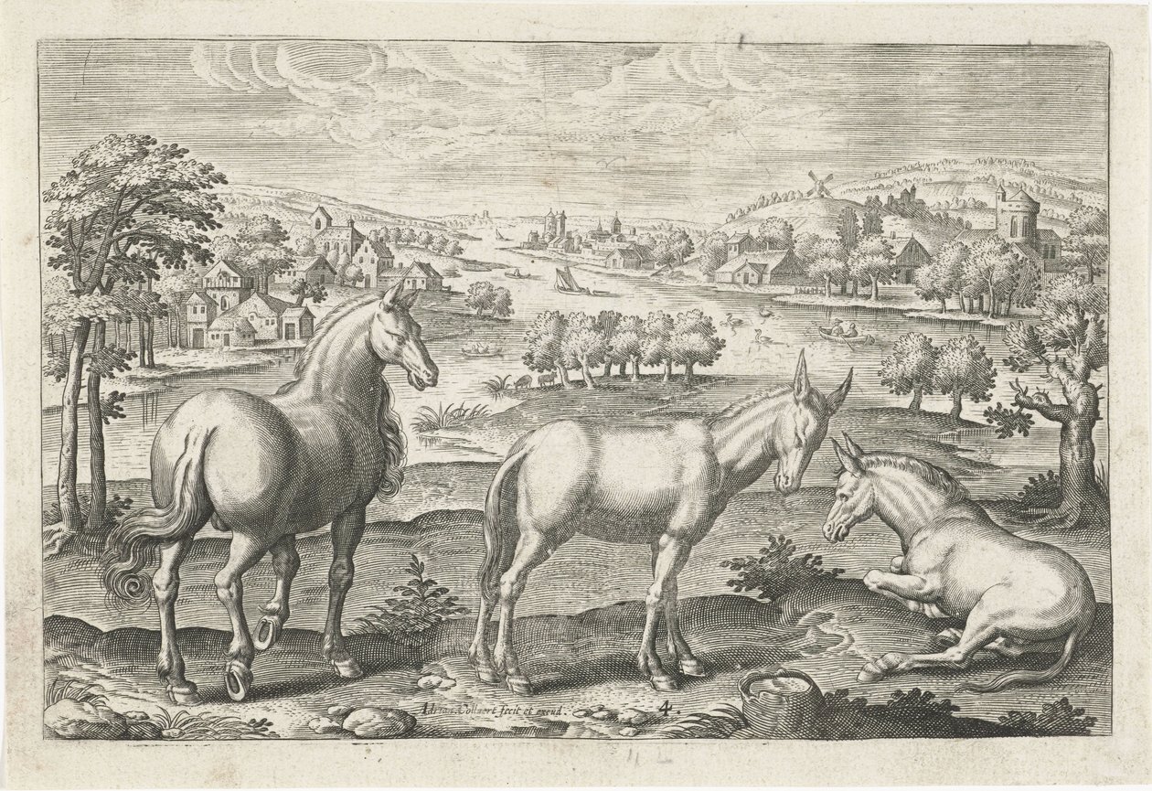 Cheval et ânes. Animalivm Qvaddrvpedvm - Adriaen Collaert
