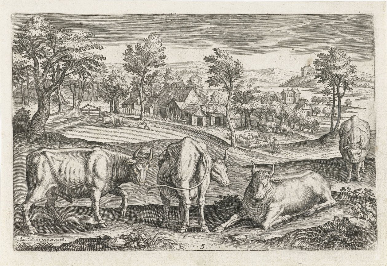 Bovins - Adriaen Collaert