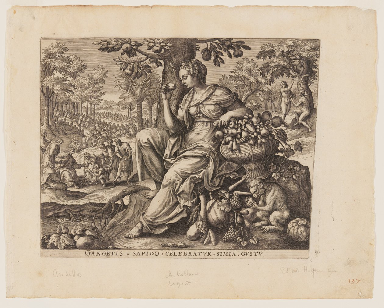 Le goût, tiré des Cinq Sens - Adriaen Collaert