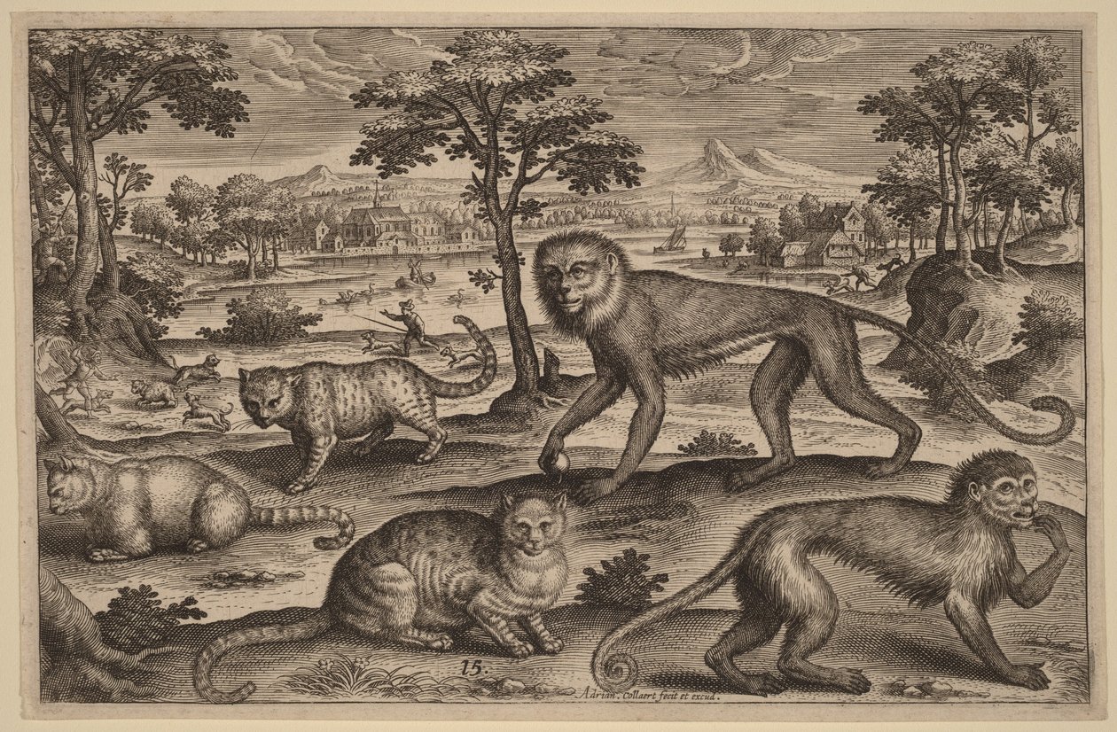 Trois chats et deux singes - Adriaen Collaert