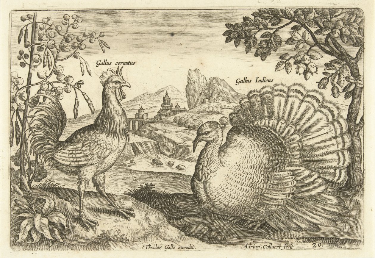 Deux poules dans un paysage - Adriaen Collaert