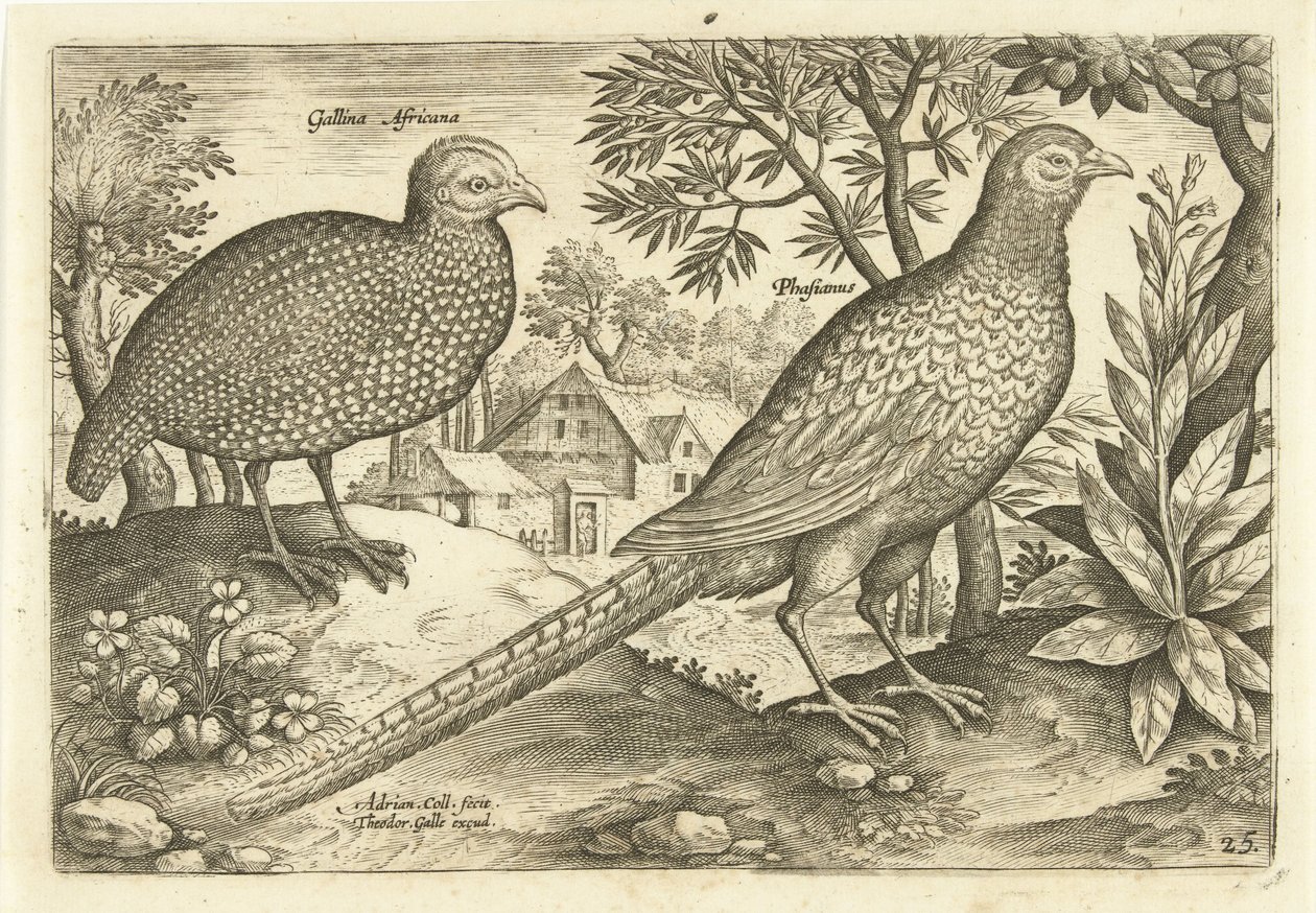 Deux poules dans un paysage - Adriaen Collaert