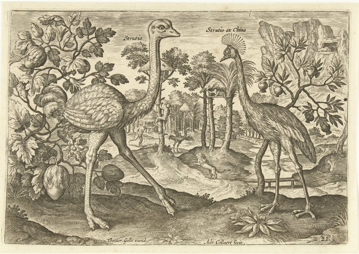 Deux oiseaux coureurs dans un paysage - Adriaen Collaert