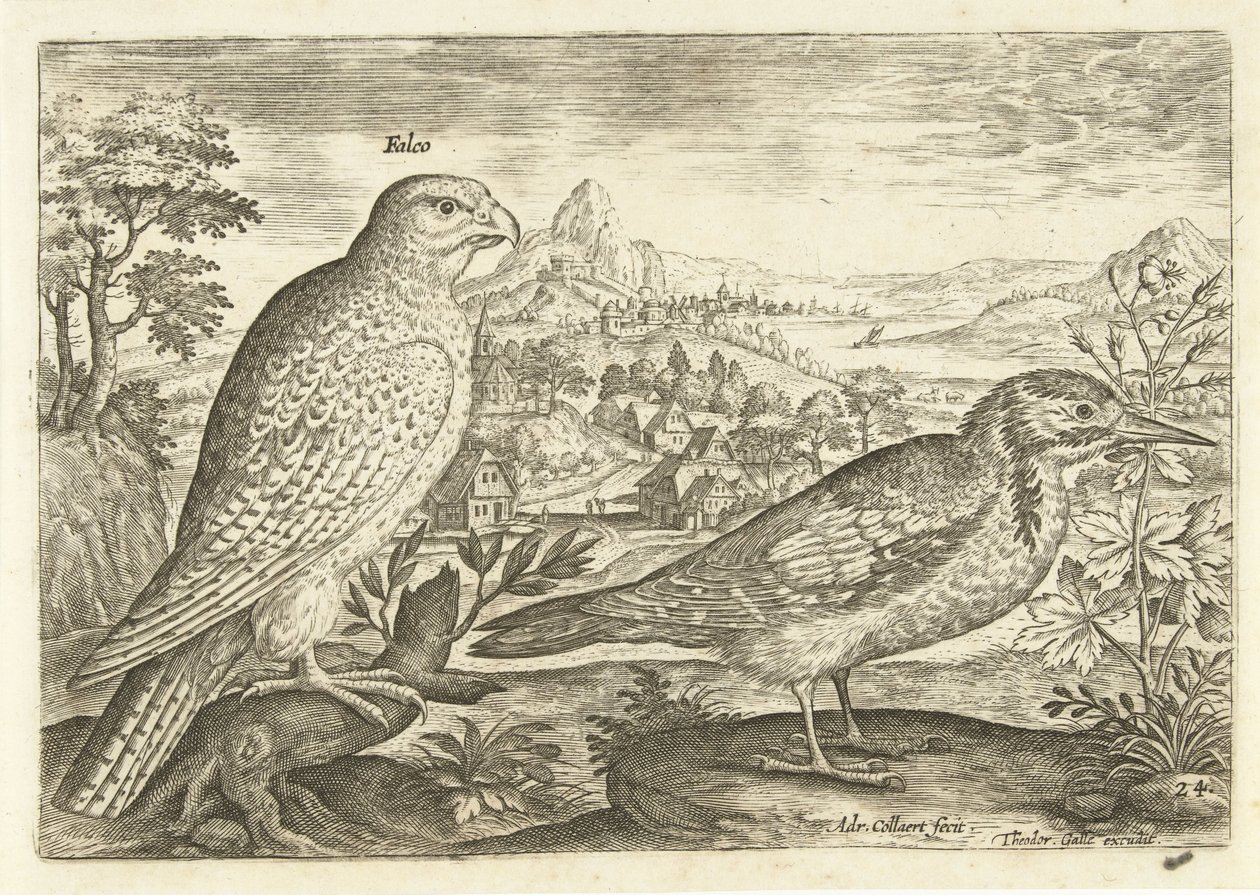 Deux oiseaux dans un paysage - Adriaen Collaert