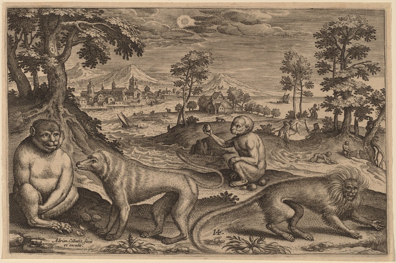 Deux singes et deux macaques - Adriaen Collaert