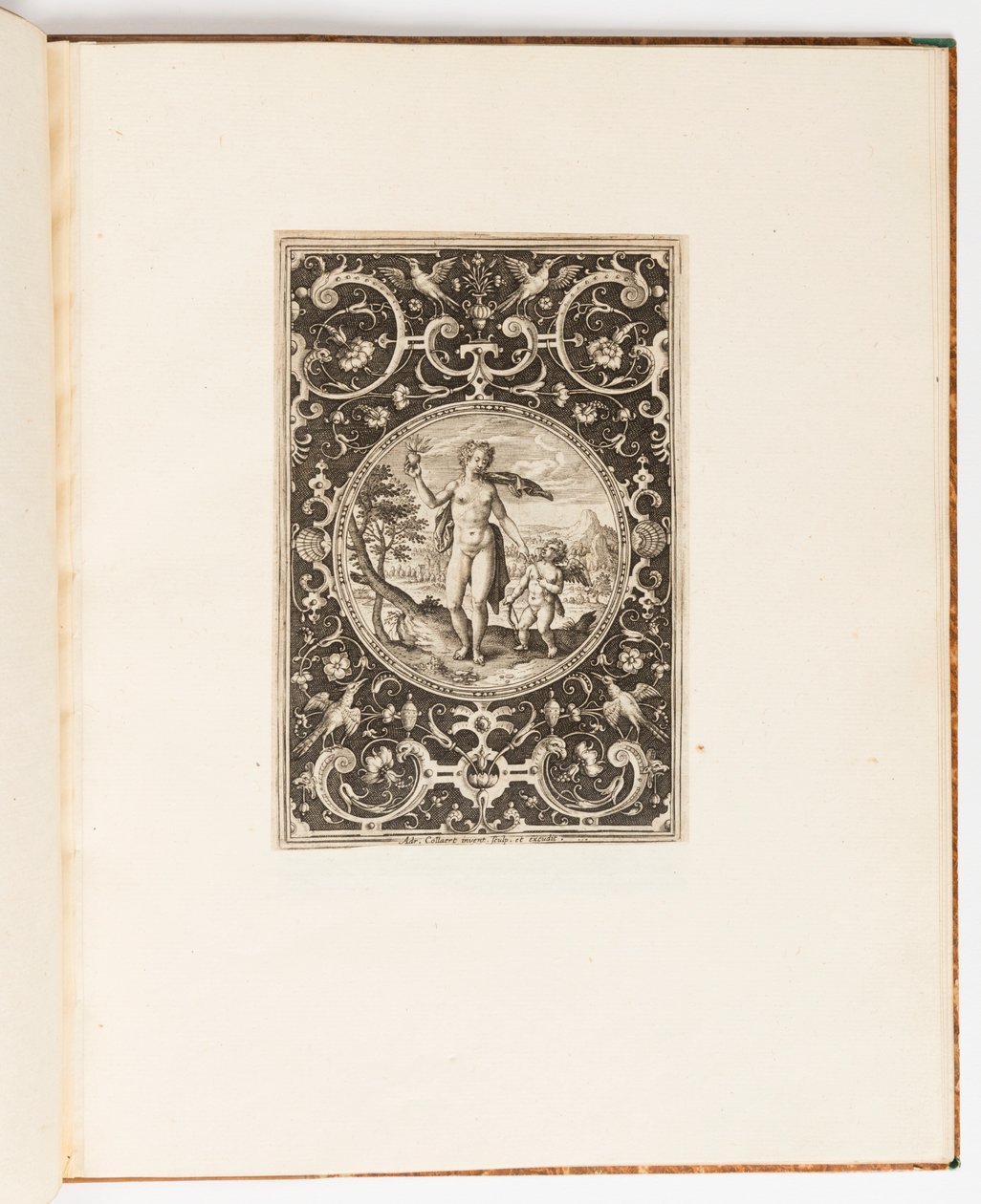 Vénus, planche d