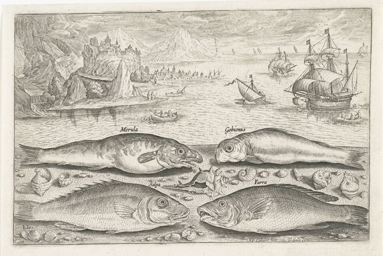 Quatre poissons sur la plage - Adriaen Collaert