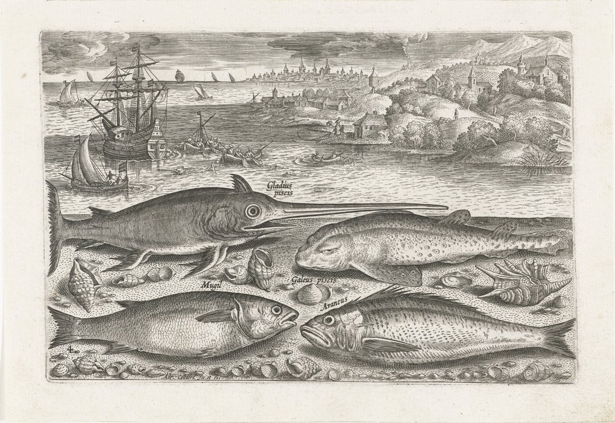 Quatre poissons sur la plage - Adriaen Collaert