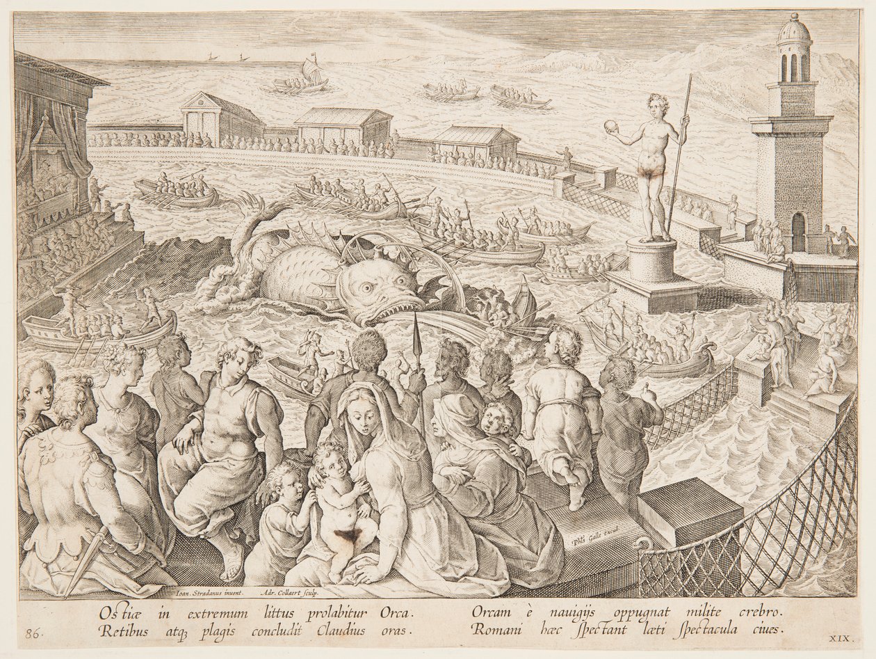 Chasse à la baleine par l