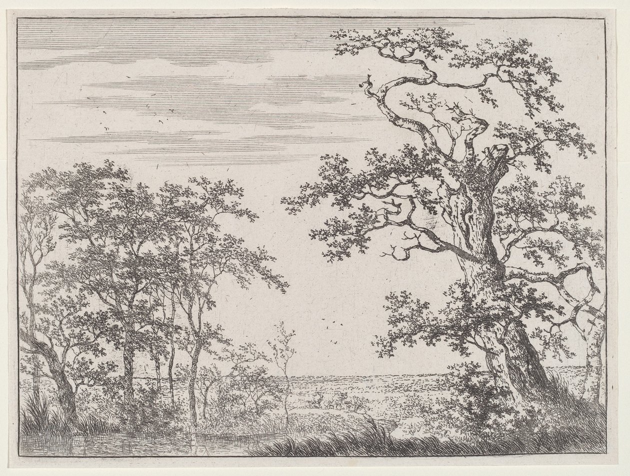 Paysage avec un ruisseau et un arbre ancien - Adriaen Hendricks Verboom