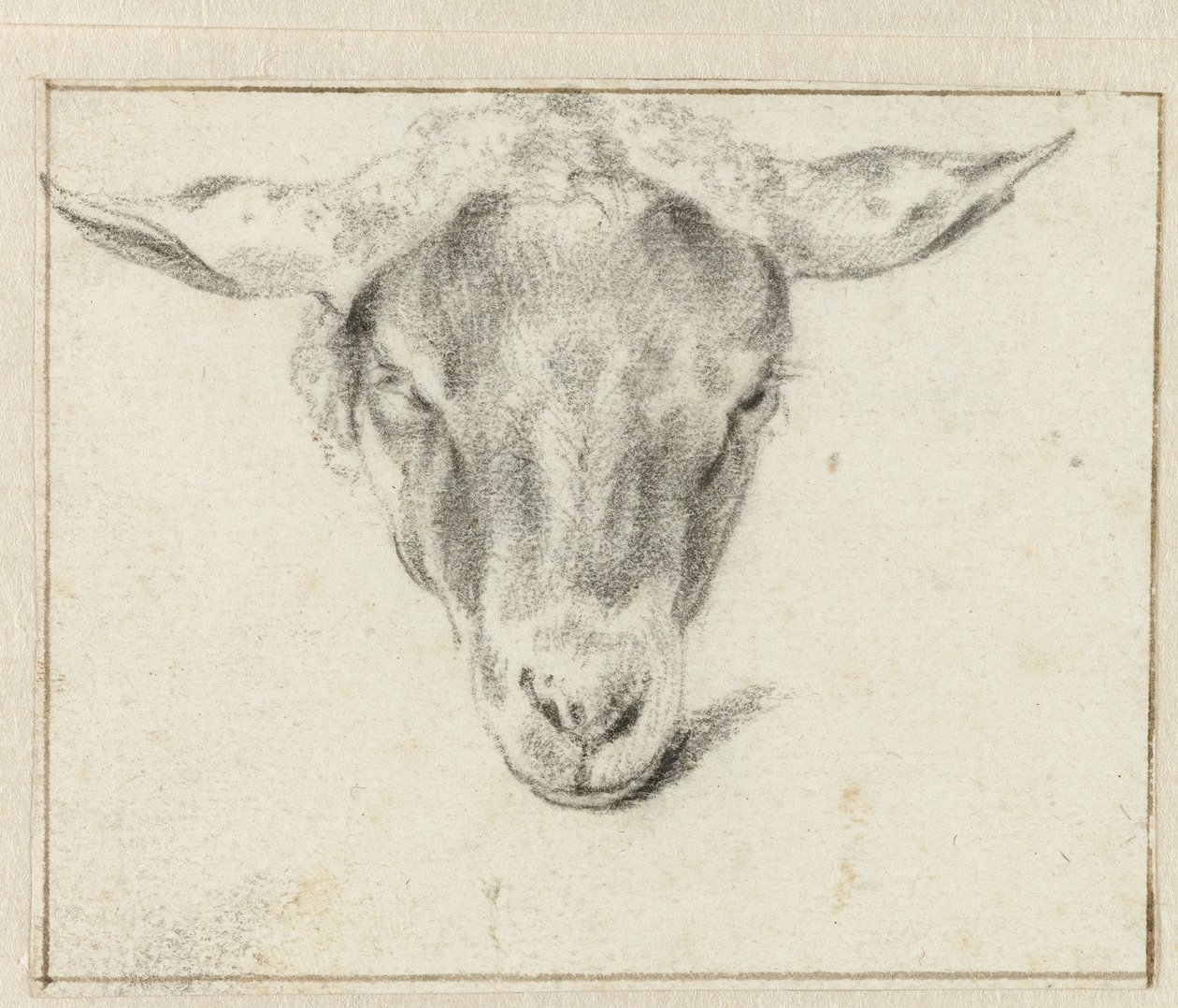Tête de mouton, de face - Adriaen van de Velde (attributed to)