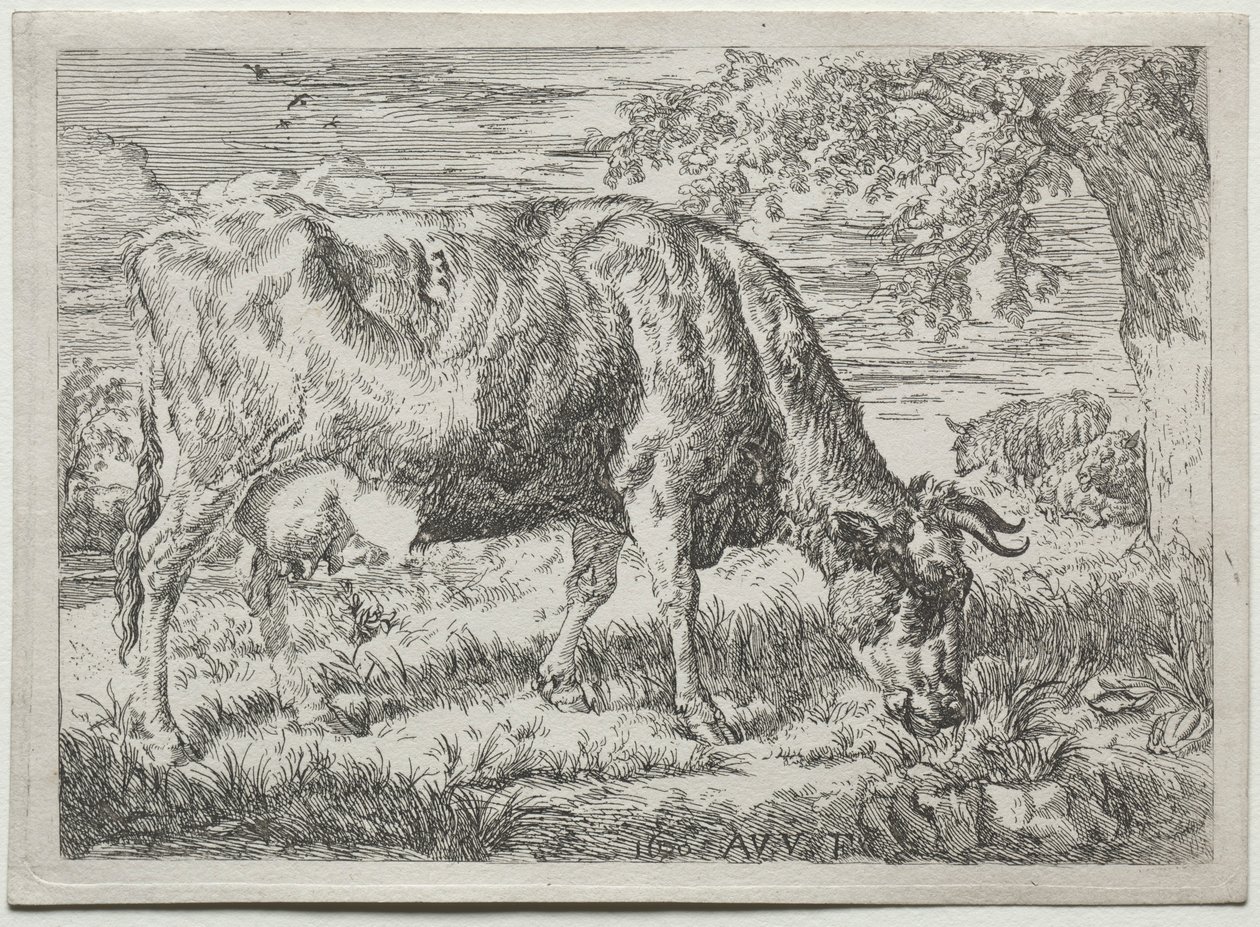 Vache et deux moutons au pied d