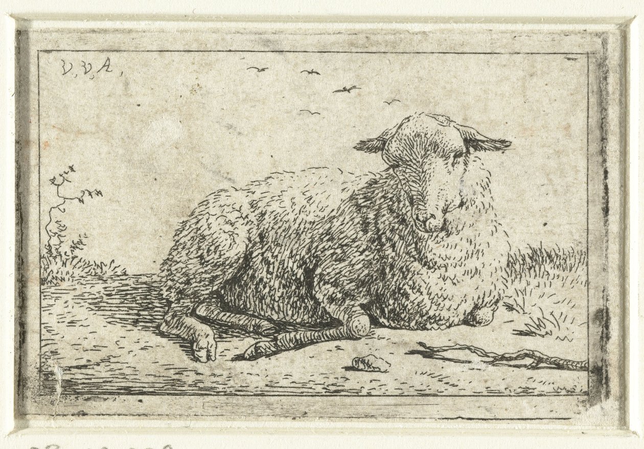 Mouton couché - Adriaen van de Velde